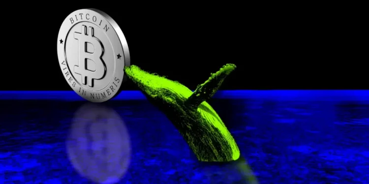Bitcoin Whale Awakens After 5 Years, Moves $353M in BTC