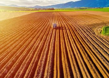 Agriculture Market Update: Q2 2025 in Review