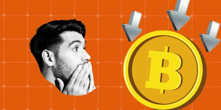 BCCI Bans Crypto Firms From Bidding for Team India Sponsorship