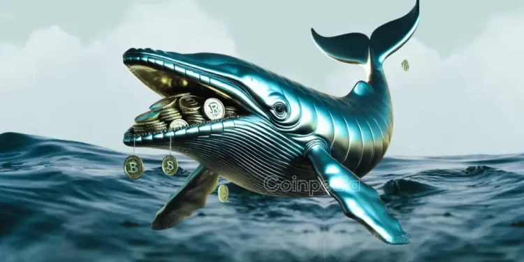 Top Altcoins Crypto Whales Are Buying Amid Market Crash