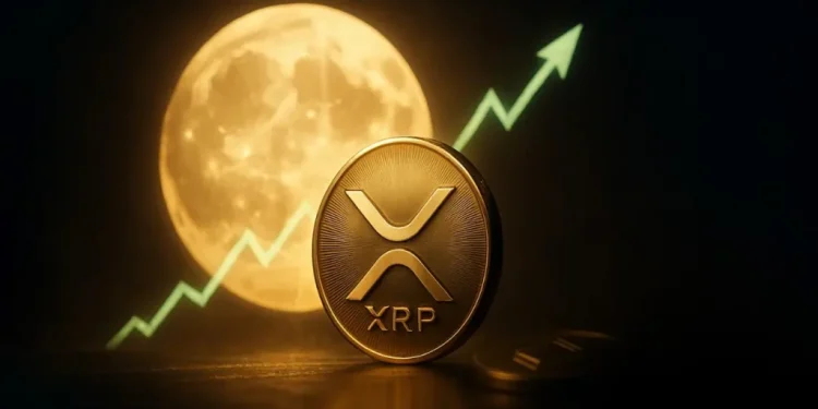 Crypto Trader James Wynn Bets $25K on XRP, Seeks Community Advice 