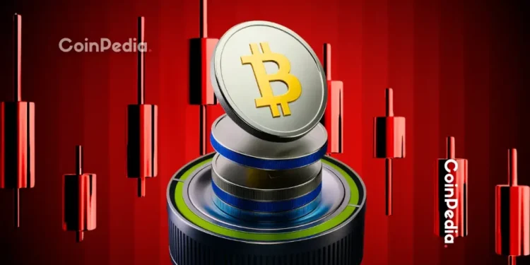 Altcoins Hold Strong as Bitcoin Falls 24% in November 