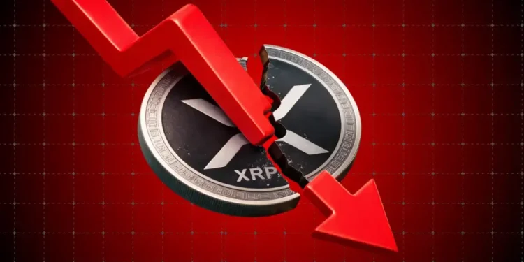 XRP Price Prediction: Peter Brandt Warns of Possible Drop Toward $1