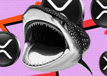 XRP Sees Major Liquidations While Whales Begin Accumulating Again