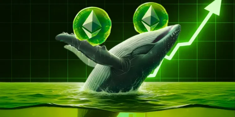 What Are Ethereum Whales Up To as ETH Trades Below Their Cost Basis: Accumulating or Distributing?