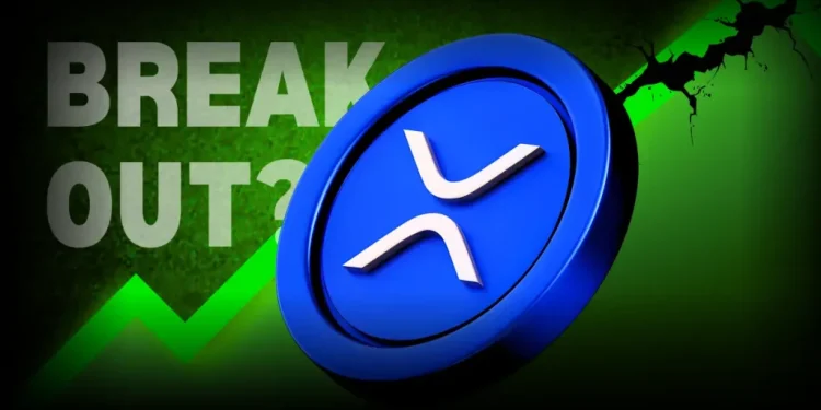 XRP Adoption Surges Among Retail Investors